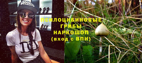 шишки Осинники