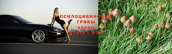 спиды Няндома
