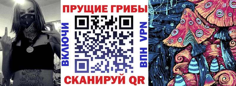 купить   blacksprut ONION  Псилоцибиновые грибы мицелий  Гороховец 
